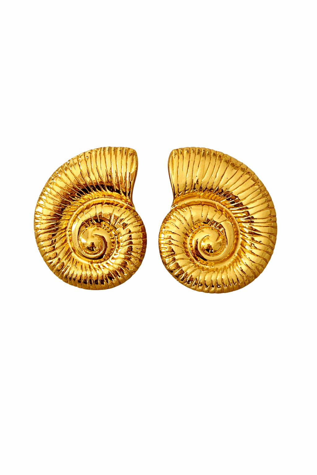 Boucle D’oreille Coquillage