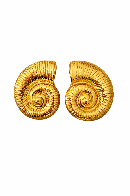 Boucle D’oreille Coquillage